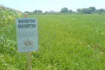 Ολοκλήρωσης πληρωμής νέου προγράμματος βιολογικής γεωργίας