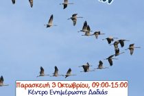 Ευρωπαϊκή Γιορτή των Πουλιών στη Δαδιά
