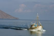 Άρση περιοριστικών μέτρων στις ζώνες αλιείας Ζώντων Δίθυρων Μαλακίων