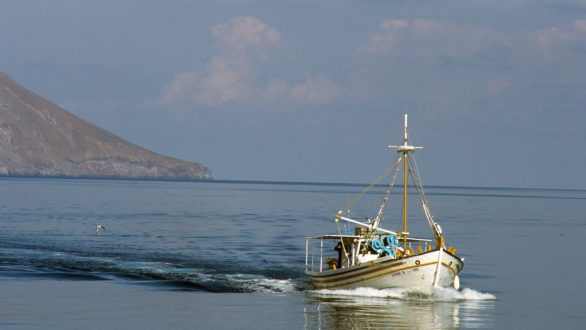 Άρση περιοριστικών μέτρων στις ζώνες αλιείας Ζώντων Δίθυρων Μαλακίων