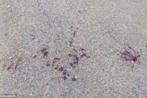 Γυναίκα βρέθηκε βαριά τραυματισμένη στην Οινόη