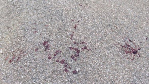 Γυναίκα βρέθηκε βαριά τραυματισμένη στην Οινόη