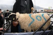 Ψήφισμα συγκέντρωσης των κτηνοτρόφων στο Σουφλί