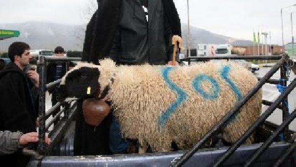 Συγκέντρωση διαμαρτυρίας των κτηνοτροφικών συλλόγων της Περιφέρειας