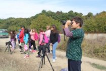 Η Ευρωπαϊκή Γιορτή των Πουλιών στη Δαδιά