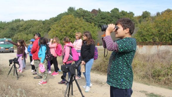 Η Ευρωπαϊκή Γιορτή των Πουλιών στη Δαδιά