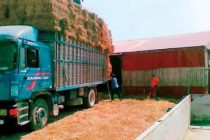 Αποδέσμευση Διακίνησης Μηδικής