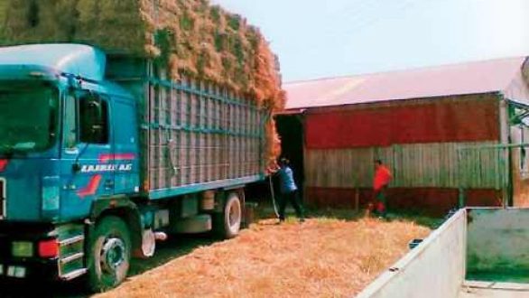 Τροποποίηση των όρων διακίνησης χορτονομής