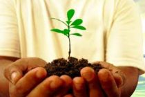 Ζητούν την καταβολή της οικονομικής ενίσχυσης οι βιοκαλλιεργητές του Έβρου