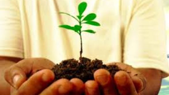 Ζητούν την καταβολή της οικονομικής ενίσχυσης οι βιοκαλλιεργητές του Έβρου