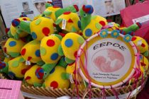 Με επιτυχία διοργανώθηκέ ο 5ος Πανελλαδικός Ταυτόχρονος Δημόσιος Θηλασμός στην Ορεστιάδα