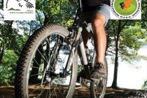 Ορθοπεταλιά στη Δαδιά