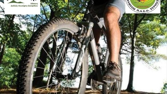 Ορθοπεταλιά στη Δαδιά