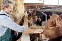 Κτηνοτροφικοί σύλλογοι ΑΜΘ: “Απογοητευτικό το αποτέλεσμα της σύσκεψης στο Υπουργείο”