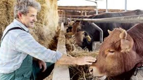 Από την Πέμπτη οι αιτήσεις πληγέντων κτηνοτρόφων & μελισσοκόμων στους Δήμους Σουφλίου και Αλεξανδρούπολης