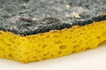 Πώς να τα απολυμαίνετε σωστά τα σφουγγάρια