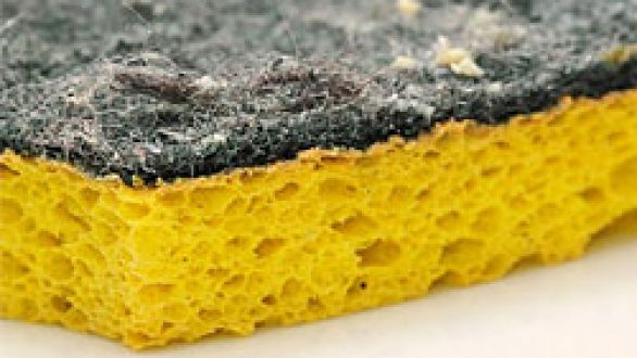 Πώς να τα απολυμαίνετε σωστά τα σφουγγάρια