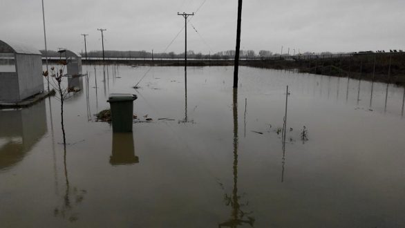 Πάνω από το όριο συναγερμού εξακολουθεί να βρίσκεται η στάθμη του ποταμού Έβρου