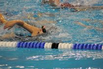 Ο “Νηρέας” με 46 δελφινάκια στο κολυμβητήριο Αλεξανδρούπολης