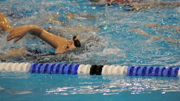 Ο “Νηρέας” με 46 δελφινάκια στο κολυμβητήριο Αλεξανδρούπολης