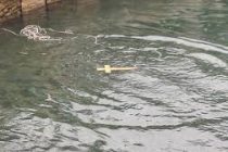 Θεοφάνια στο Κολυμβητήριο…