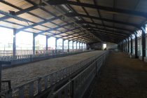 Αδειοδότηση σταυλικών εγκαταστάσεων