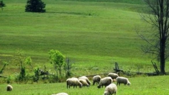 Όλες οι αλλαγές για τις χρήσεις γης – Τι προβλέπεται για την αγροτική χρήση