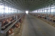 Συνάντηση για την αδειοδότηση σταυλικών εγκαταστάσεων