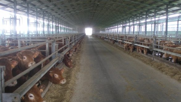 Συνάντηση για την αδειοδότηση σταυλικών εγκαταστάσεων