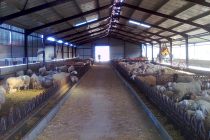 Ενημερωτική συνάντηση για την αδειοδότηση των σταυλικών εγκαταστάσεων