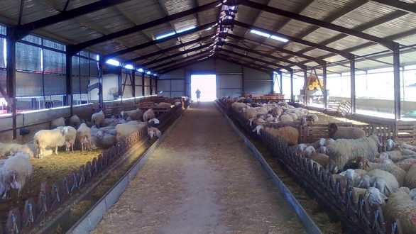 Ενημερωτική συνάντηση για την αδειοδότηση των σταυλικών εγκαταστάσεων