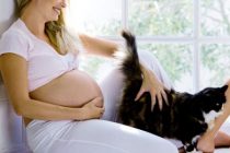 Μπορώ να κρατήσω τη γάτα μου όσο είμαι έγκυος;