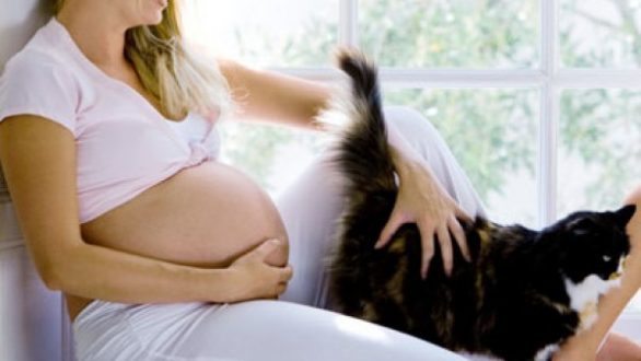 Μπορώ να κρατήσω τη γάτα μου όσο είμαι έγκυος;