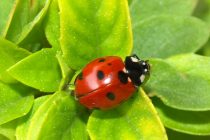 Από Μ.Δευτέρα ξεκινάει το πασχαλινό ωράριο