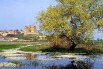 Κυρίλλεια 2015 στο Πύθιο