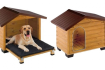 Σπιτάκια και λουράκια σκύλων – επιλέξτε το κατάλληλο για τον πιστό σας φίλο