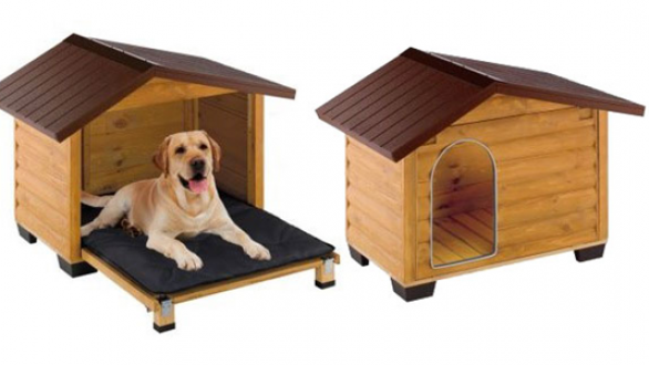 Σπιτάκια και λουράκια σκύλων – επιλέξτε το κατάλληλο για τον πιστό σας φίλο