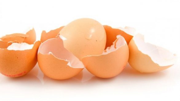 Πως να αξιοποιήσετε τα τσόφλια των αυγών στο σπίτι και στον κήπο σας.