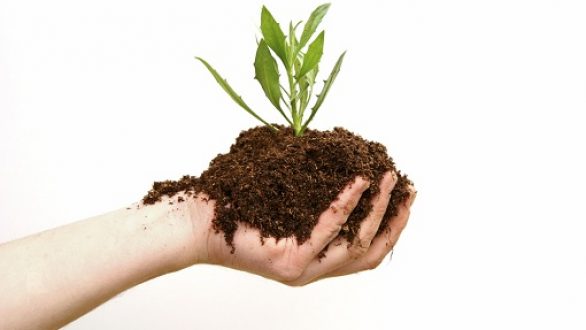 Πιστοποιητικό ορθολογικής χρήσης γεωργικών φαρμάκων