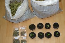 Σύλληψη 2 ημεδαπών για καλλιέργεια φυτών κάνναβης και κατοχή ναρκωτικών