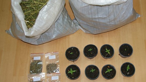 Σύλληψη 2 ημεδαπών για καλλιέργεια φυτών κάνναβης και κατοχή ναρκωτικών