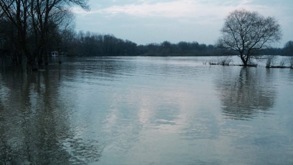 Ξεκίνησαν απο σήμερα οι δηλώσεις ζημίας από τις πλημμύρες στον Δήμο Ορεστιάδας
