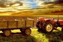 Αφορολόγητες οι αγροτικές επιδοτήσεις μέχρι 12.000 ευρώ