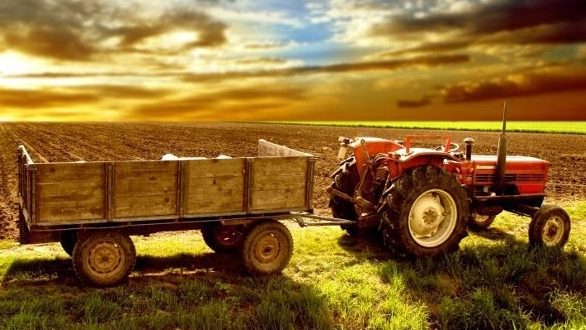 Αφορολόγητες οι αγροτικές επιδοτήσεις μέχρι 12.000 ευρώ