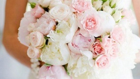 Αυτά Eίναι τα 8 Καλύτερα Φυτά για Γάμο