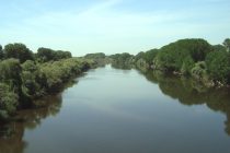 Θετικά εξετάζει το σοβαρό ζήτημα του καθαρισμού του ποταμού Έβρου η κυβέρνηση