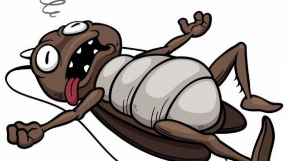 Πώς να απαλλαγείτε από τις κατσαρίδες