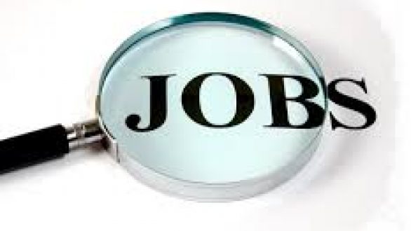 Κοινωφελής Εργασία: 60 θέσεις στον Δήμο Ορεστιάδας