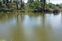 Η γραφειοκρατία για την αποκατάσταση των αναχωμάτων “πνίγει” τον Έβρο