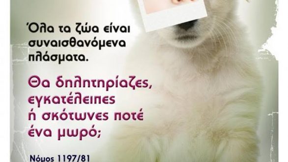 Ημερίδα :”Διαχείριση των Αδέσποτων και Δεσποζόμενων Ζώων του Δήμου” στο Διδυμότειχο